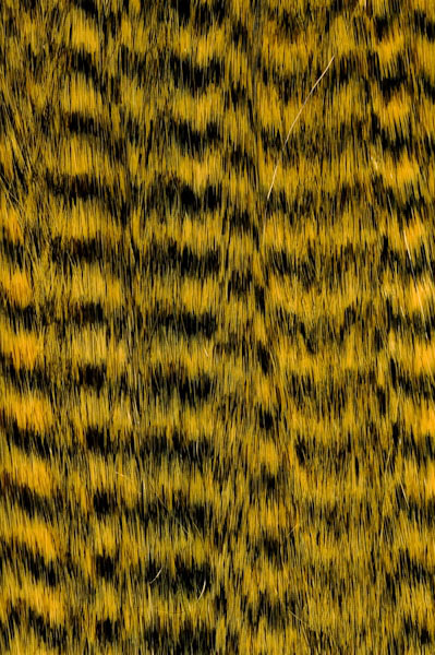 Extensions en plumes artificielles
